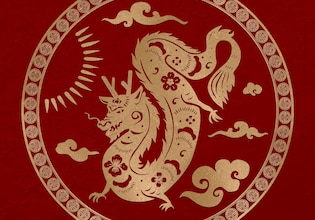 Dragon logos