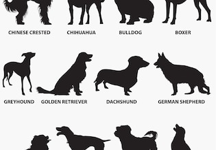 Dog silhouettes