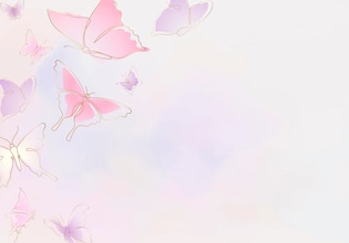 butterfly illustrations