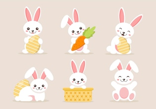 Bunny vectors