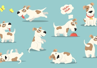 Dog vectors