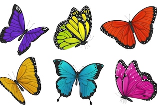 butterfly clip arts