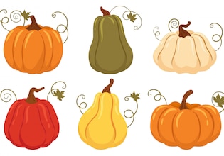 pumpkin vectors