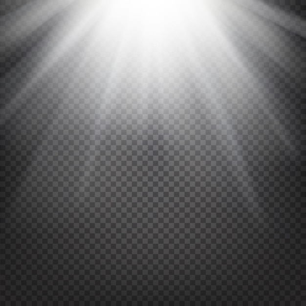 Free vector shiny sunburst of sunbeams on the abstract sunshine background and transparency background. vector illustration.