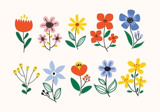 Flower vectors