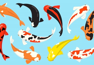 cartoon fish